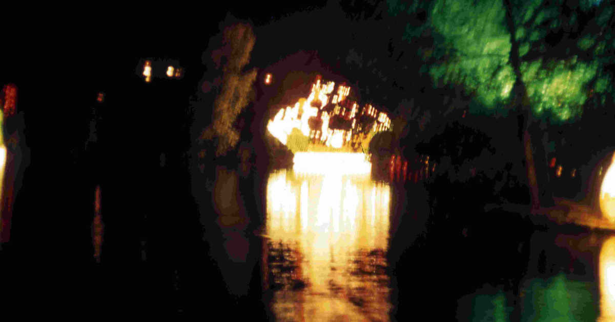 ImagesBrum/Visit_Walsall_Arboretum_Illuminations.jpg
