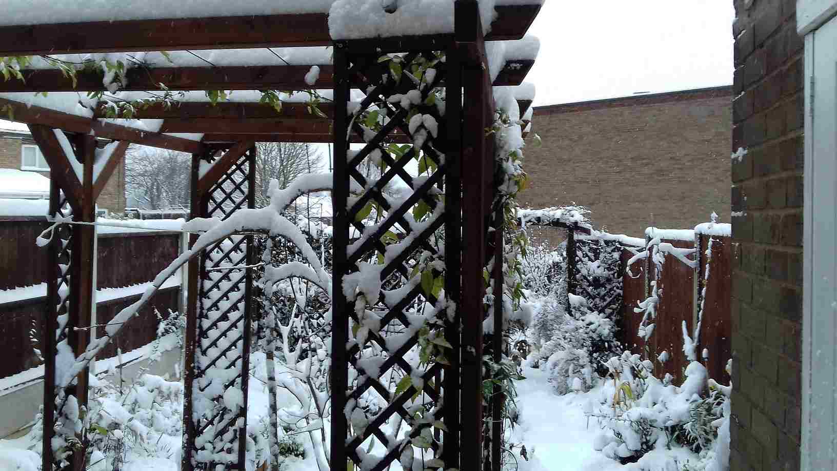 ImagesHovel/2017-12_Snow_On_Pergula.jpg