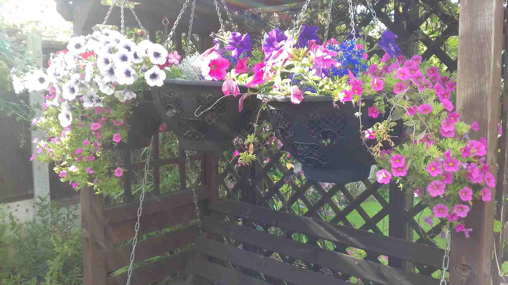 ImagesHovel/2019-07_Swing_Seat_Hanging_Baskets.jpg