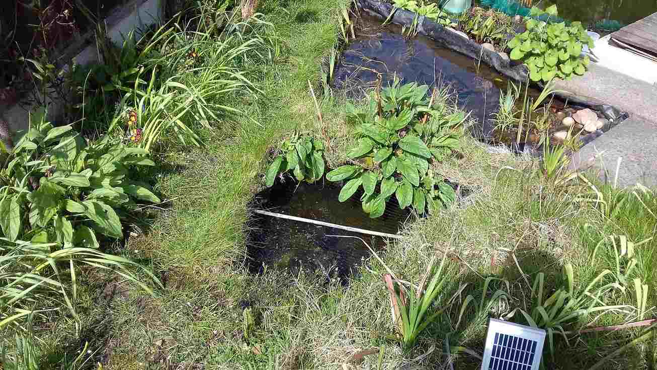 ImagesHovel/2020-04_Back_Garden_Small_Pools.jpg