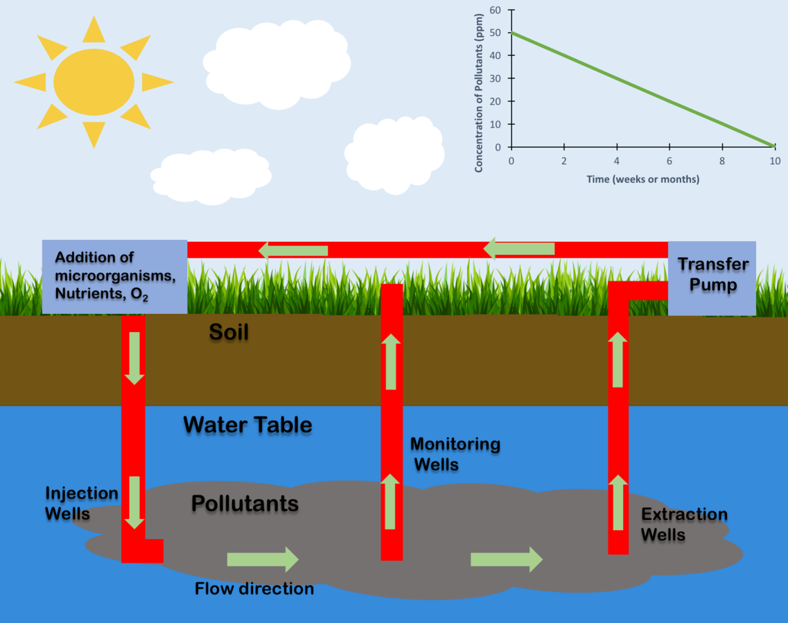 images_my_ideas_16-1/16_WC_Hoodlind_In_Situ_Bioremediation.png