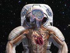 images_my_ideas 16-3/16_NASA_astronaut_physical.jpg