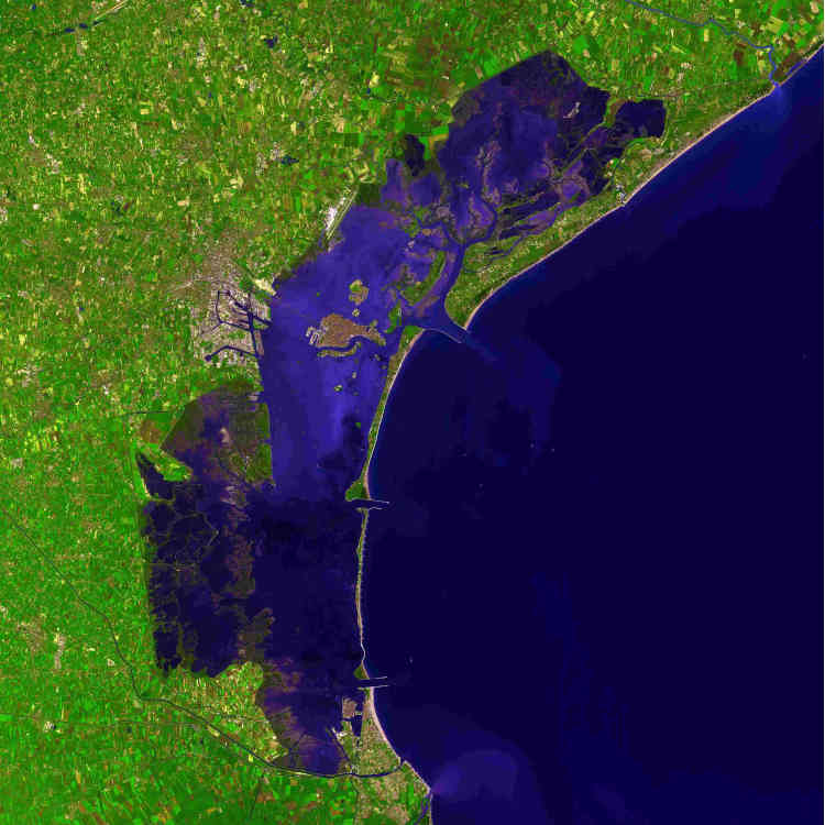 images_my_ideas_19/19_WC_NASA_Venice_Lagoon_Land_Resource_Image_December_2001.jpg