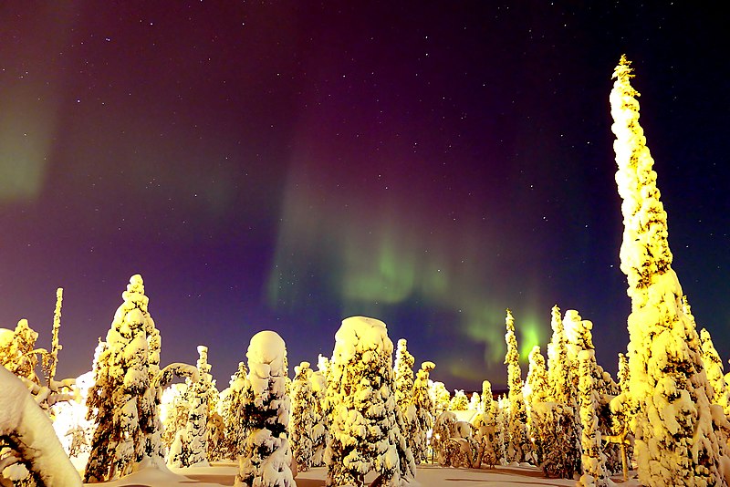 images_my_ideas_22/22_WC_Timo_Newton-Syms_Northern_Lights_Finland.jpg