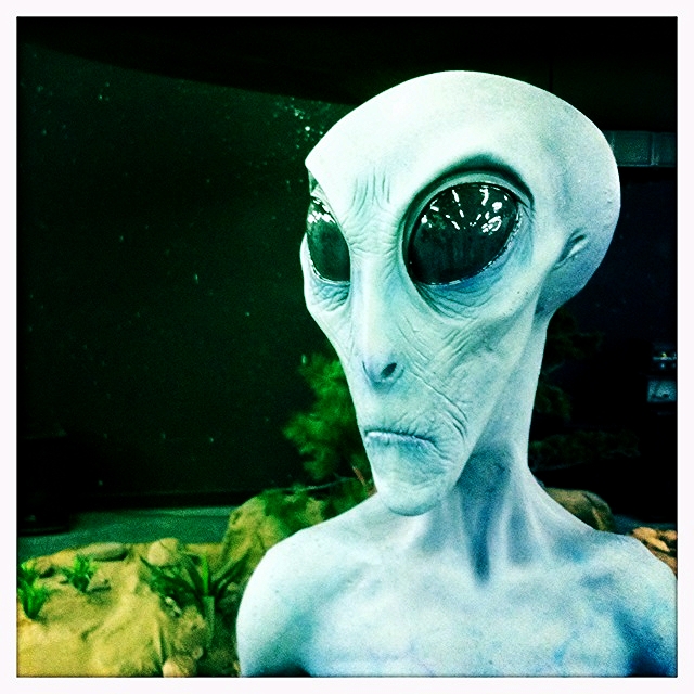 images_my_ideas_30/30_WC_timlewisnm_Gray_Alien_at_UFO_Museum_Roswell.jpg