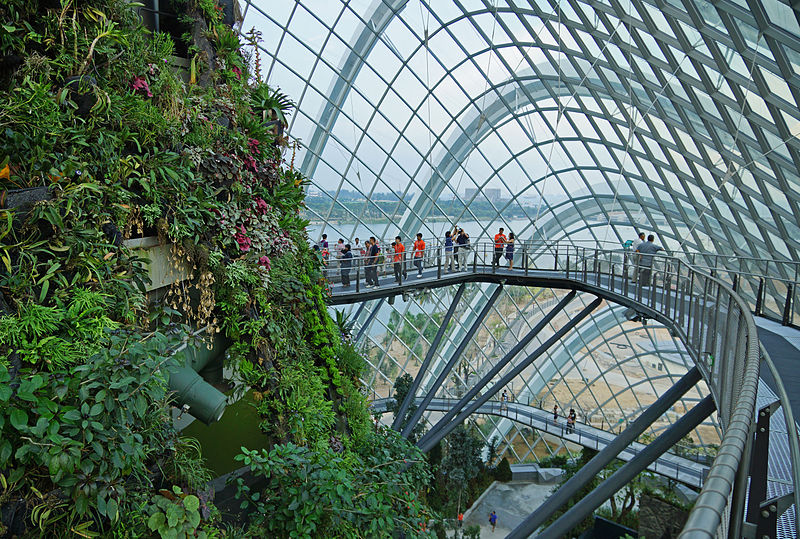 images_my_ideas_40/40_WC_Allie_Caulfield_Cloud_Forest_Gardens_Singapore.jpg