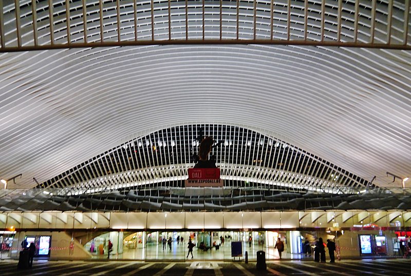 images_my_ideas_40/40_WC_Zairon_Liege_Bahnhof_Guillemins_bei_Nacht.jpg